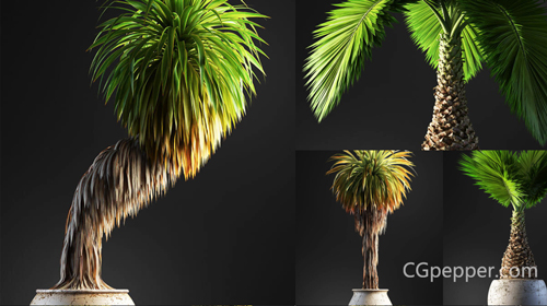 Archicg 植物 室内盆景 Cgpepper 专注优质三维资源