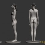 女性角色解剖模型_Base female anatomy