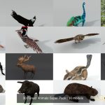 30只森林动物超级包3D模型合集
