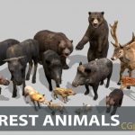 森林动物低聚3D模型