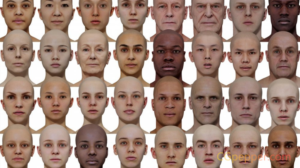 男性和女性 3D 头部模型
