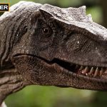 Blender迅猛龙恐龙3D模型-Raptor Dinosaur 3D model