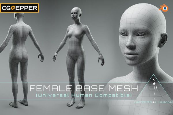 blender通用人类女性基础人体网格3d模型-Universal Human Female Base Mesh